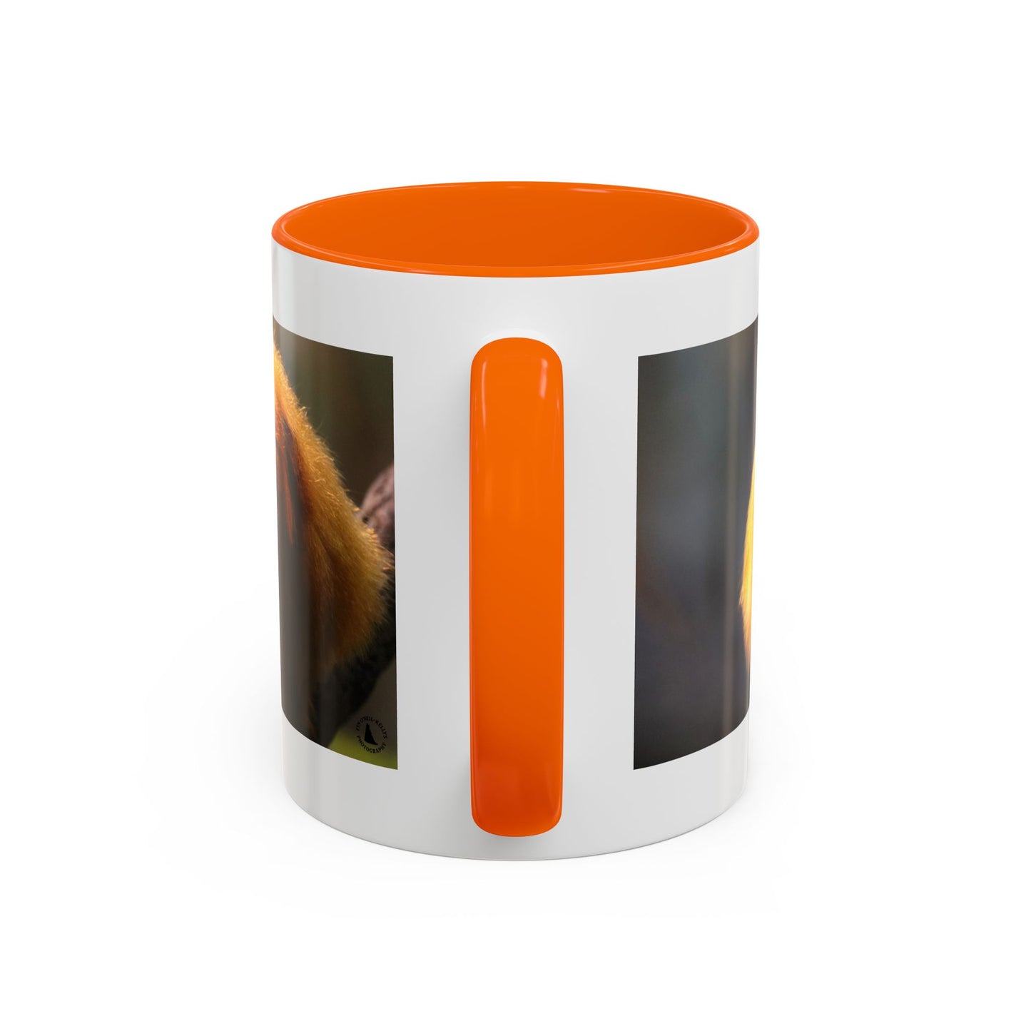 Golden Lion Tamarin Coffee Mug — Cute Exotic Monkey Accent Mug (11/15oz)