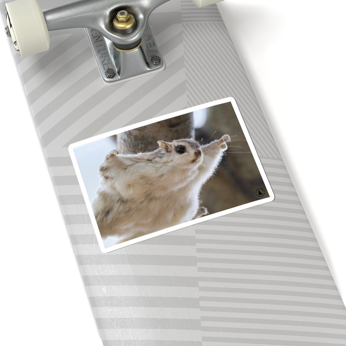 Flying Sugar Glider Sticker — Cute Gliding Pet Laptop Decal