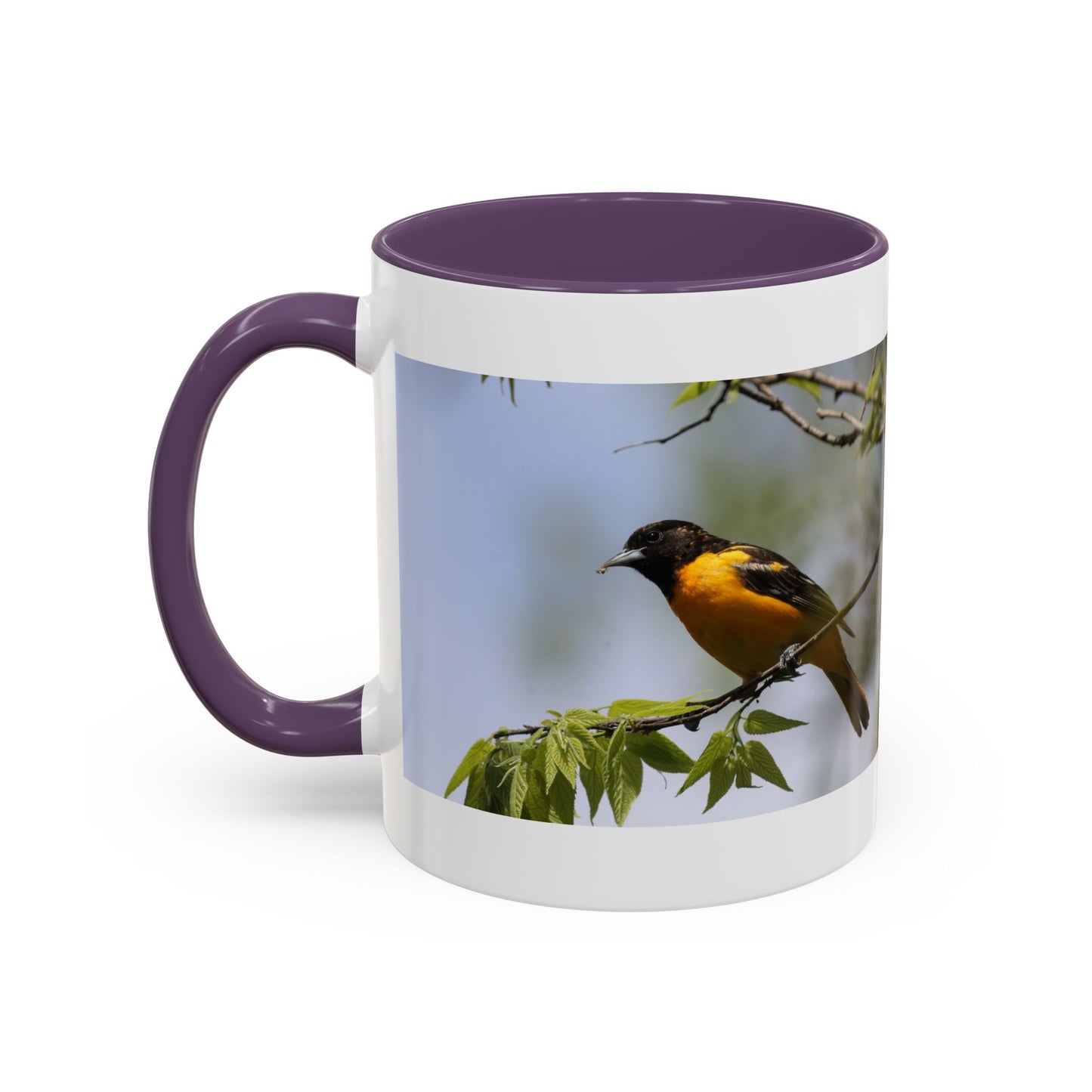 Baltimore Oriole Coffee Mug — Birdwatching Accent Mug (11/15oz)