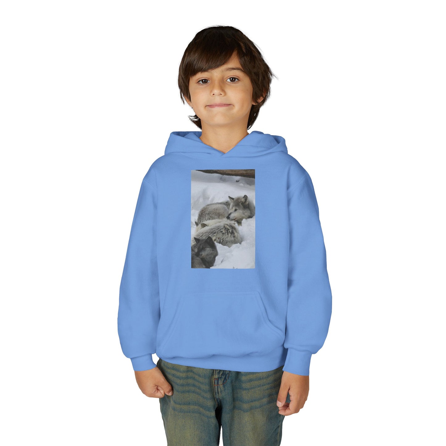 Sleeping Foxes Youth Hoodie | Wildlife Photography, Snow Scene