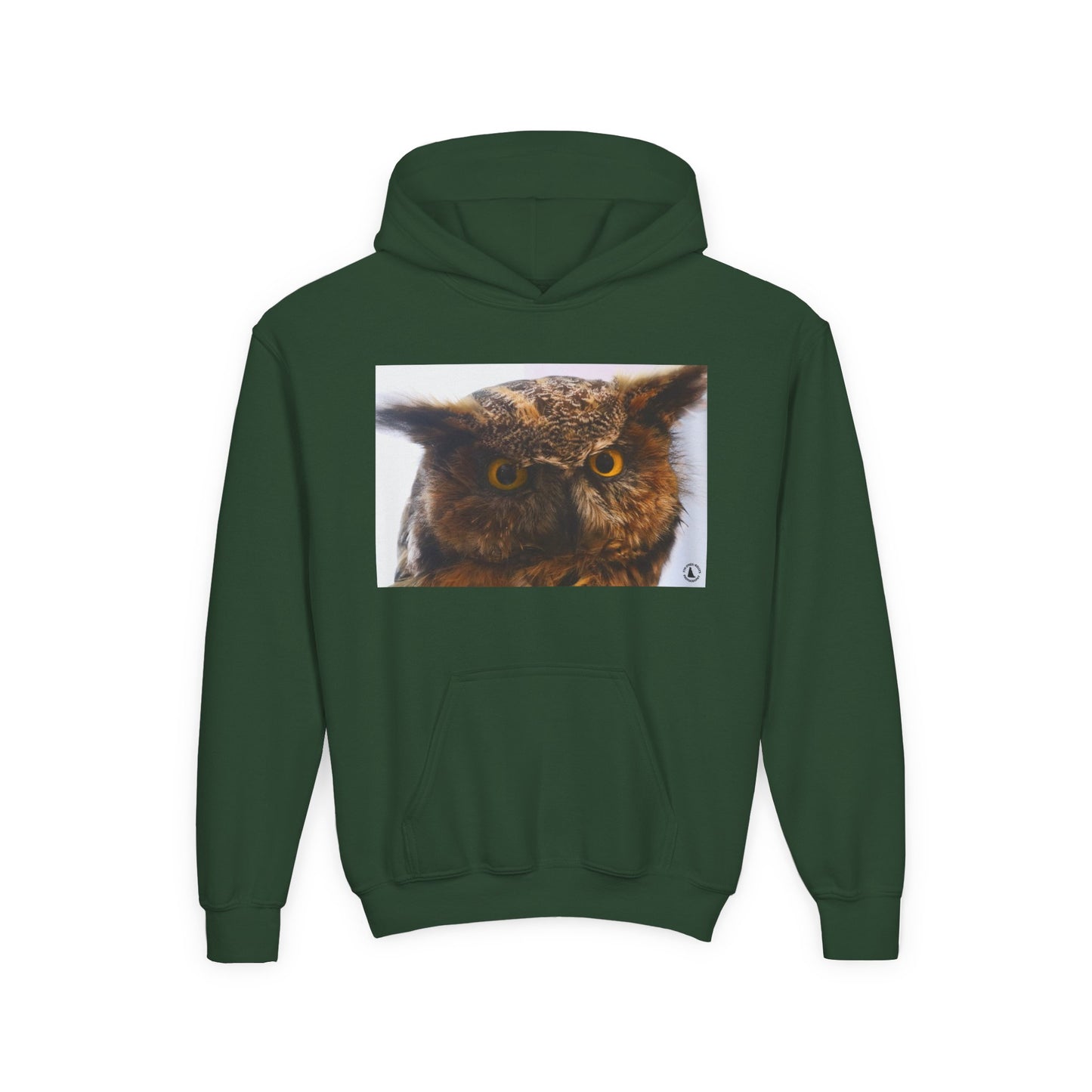Youth Hoodie with Realistic Owl Art — Cute Kids Animal Pullover