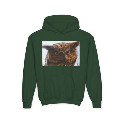 Youth Hoodie with Realistic Owl Art — Cute Kids Animal Pullover
