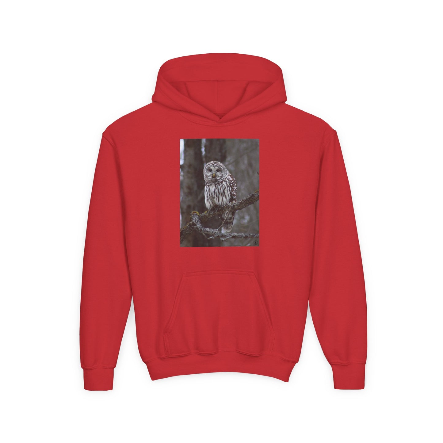 Owl Portrait Youth Hoodie — Realistic Forest Owl Graphic