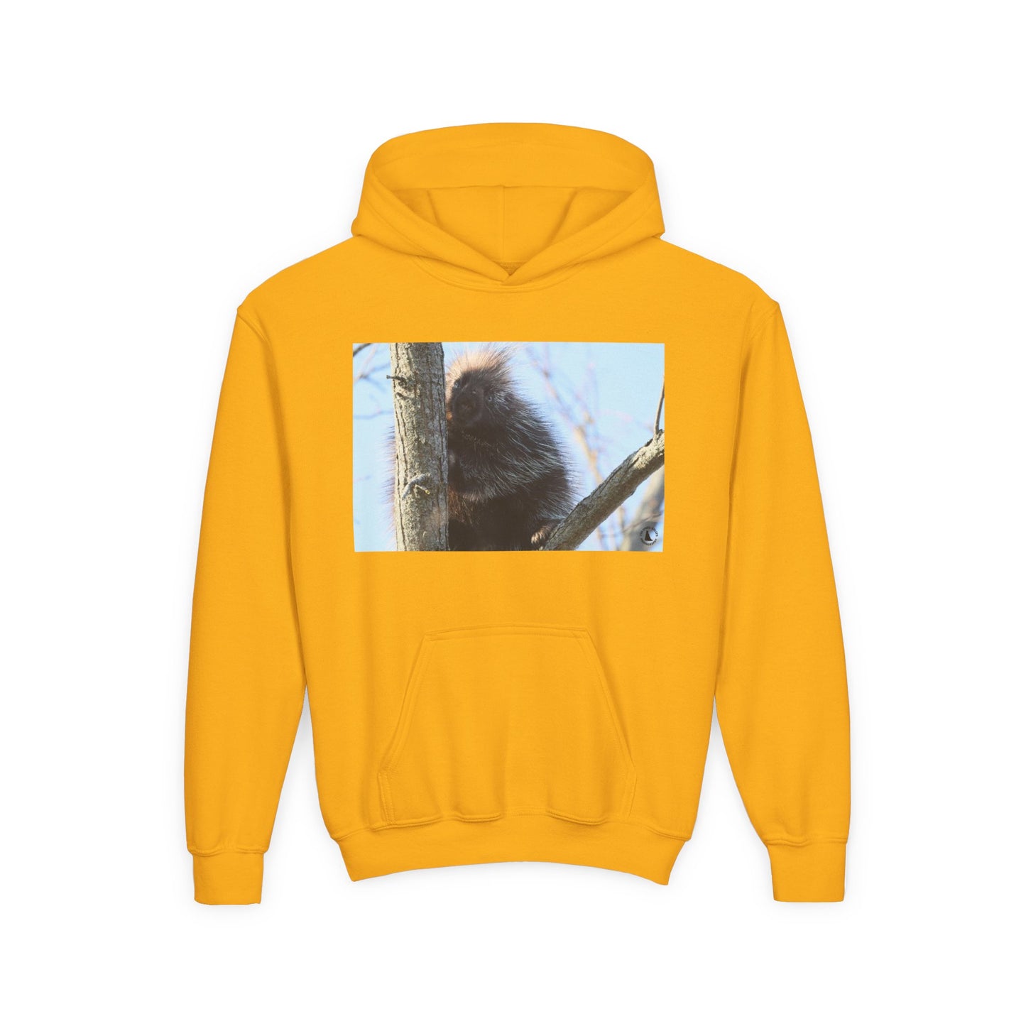 Youth Hoodie with Tree-Climbing Porcupine Photo – Cute Wildlife Kids Sweatshirt