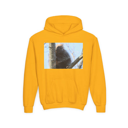 Youth Hoodie with Tree-Climbing Porcupine Photo – Cute Wildlife Kids Sweatshirt