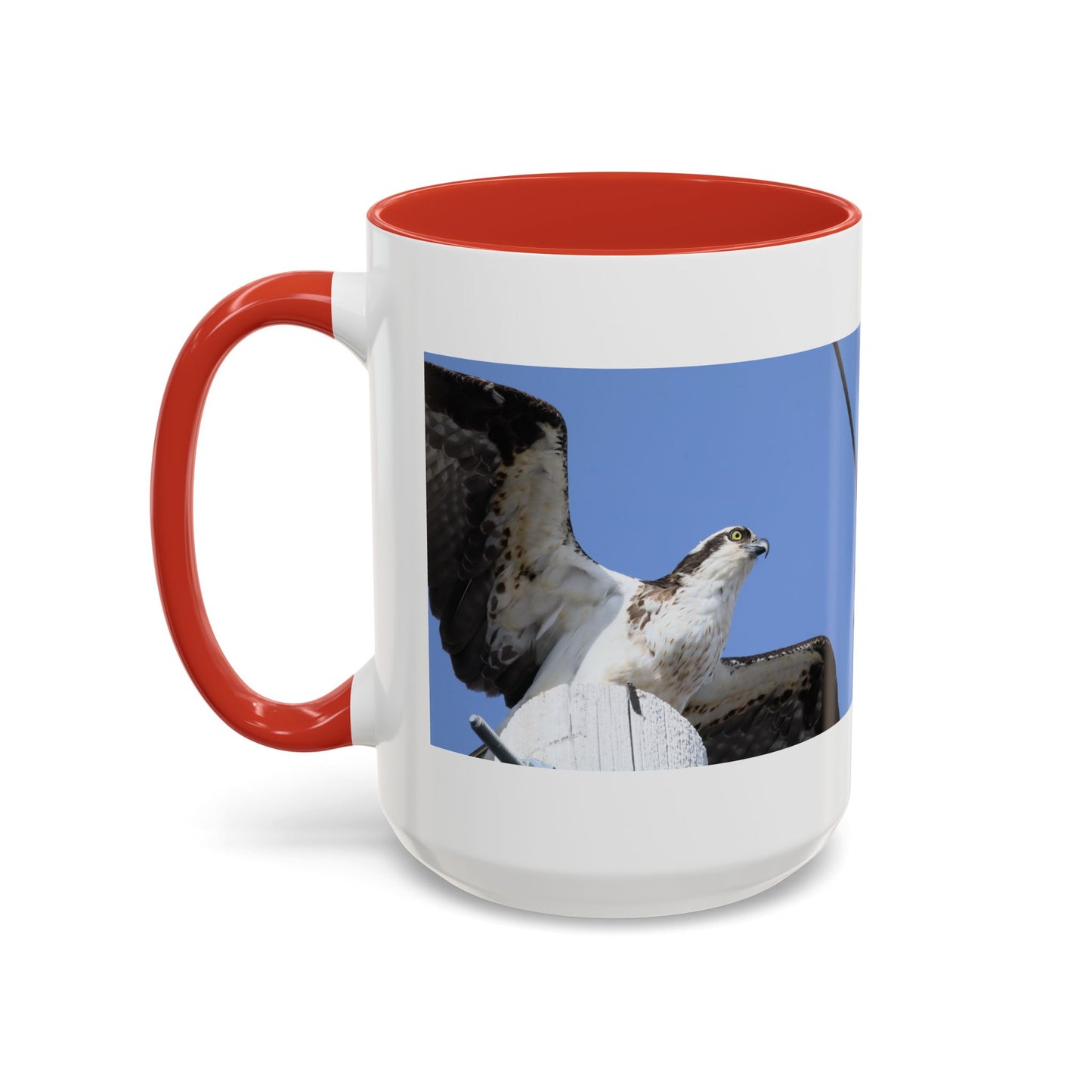 Osprey Photo Accent Coffee Mug – Wildlife Bird Photography Drinkware (11/15 oz)