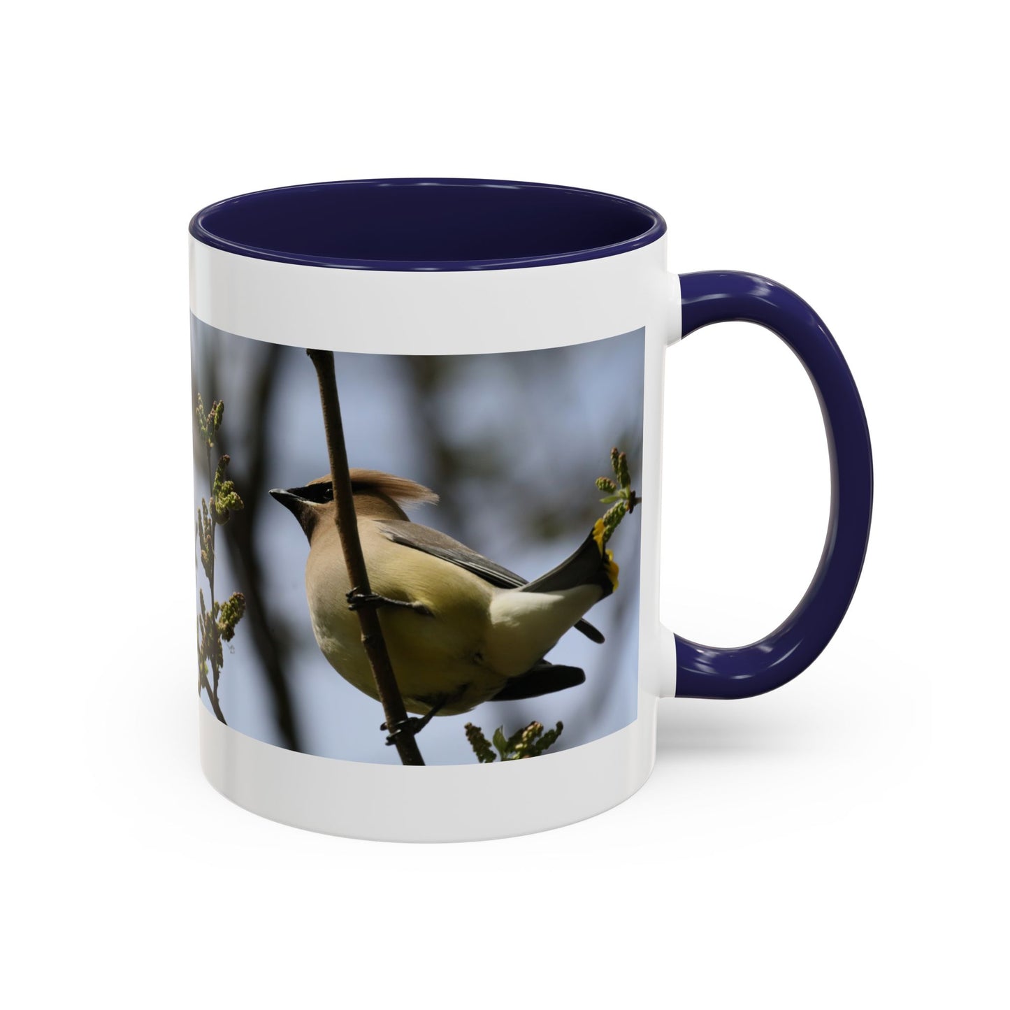 Cedar Waxwing Bird Photo Accent Coffee Mug