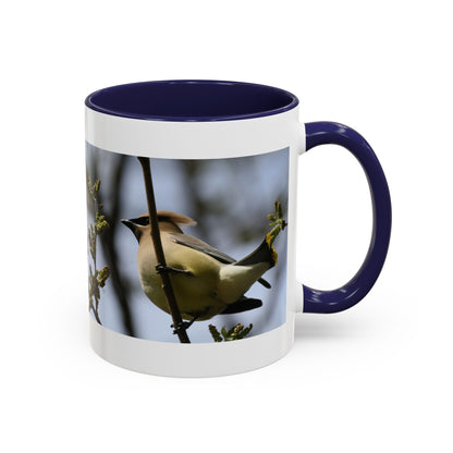 Cedar Waxwing Bird Photo Accent Coffee Mug