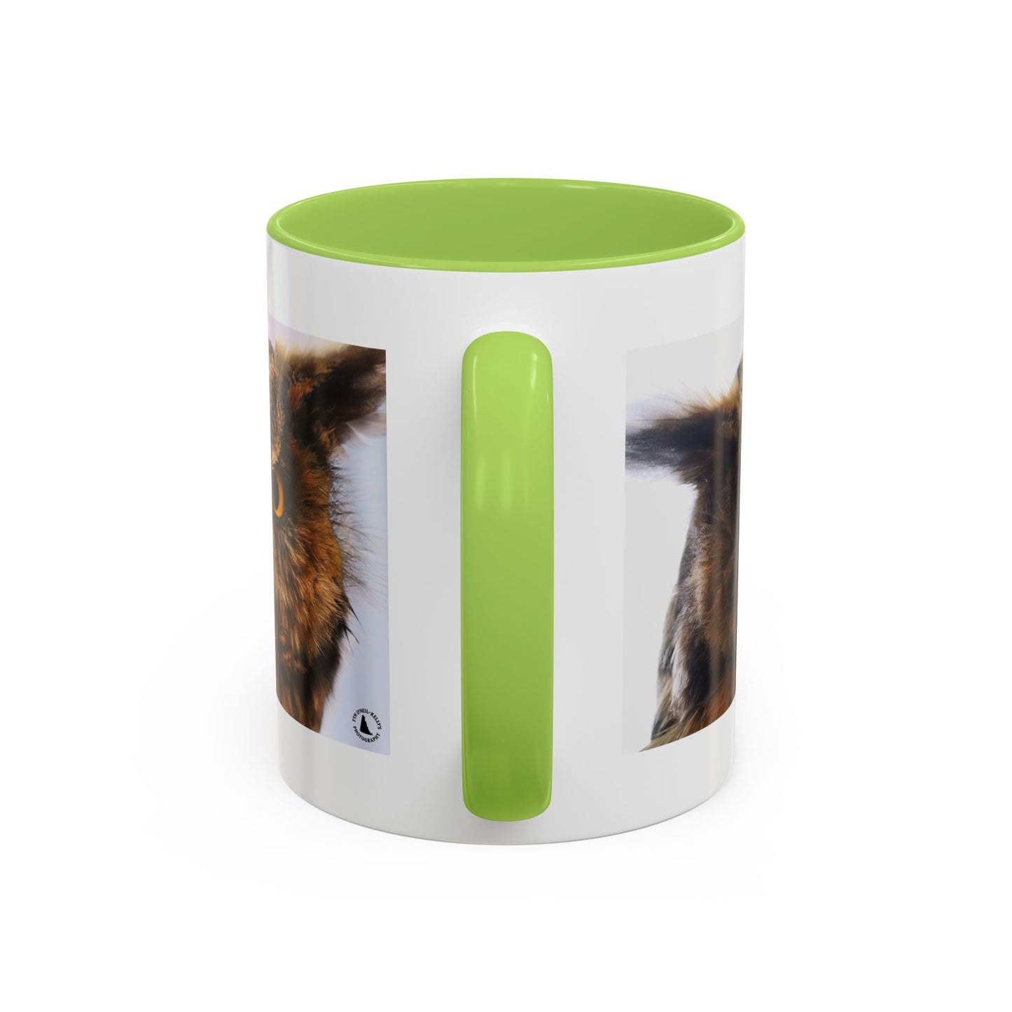 Owl Accent Coffee Mug – Realistic Great Horned Owl Photo (11/15 oz)