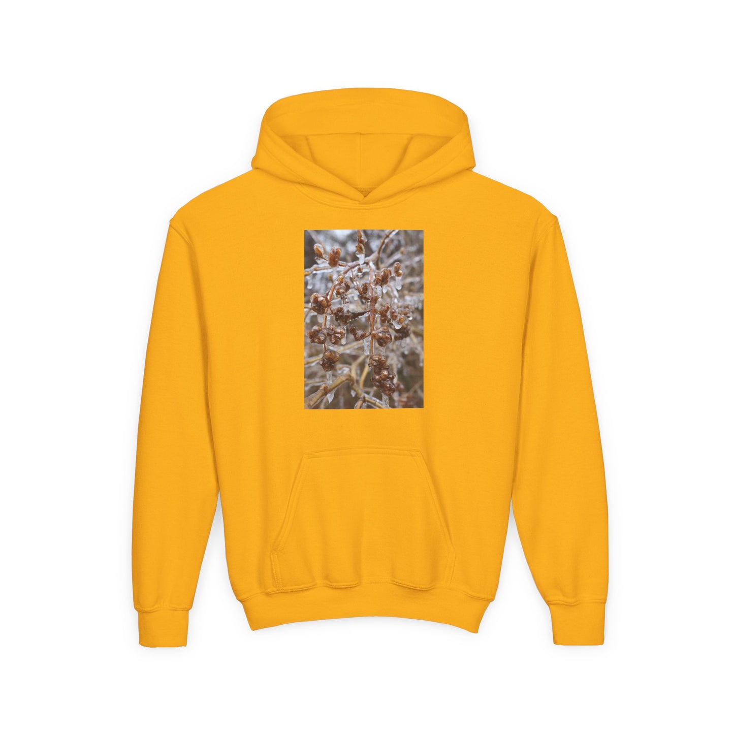 Youth Hoodie — Frosted Winter Berries Photo Print