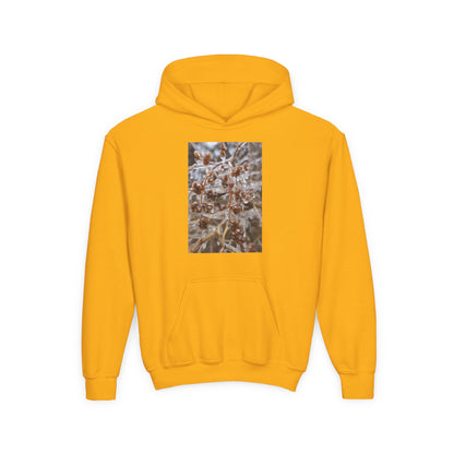 Youth Hoodie — Frosted Winter Berries Photo Print