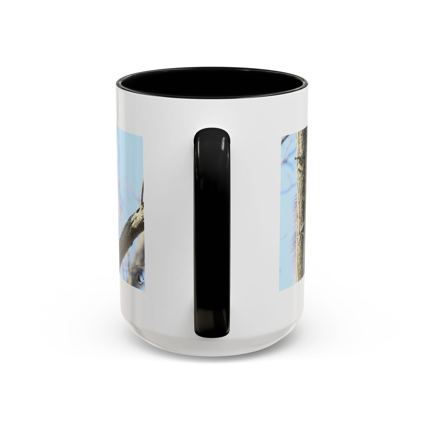 Porcupine Photo Accent Coffee Mug — Wildlife Nature Lover Gift (11/15oz)