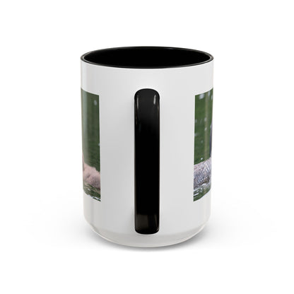 Loon Family Accent Coffee Mug – Wildlife Photo Tea Mug (11/15 oz)