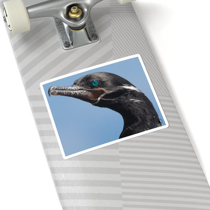 Blue-Eyed Cormorant Kiss-Cut Sticker — Wildlife Laptop Decal