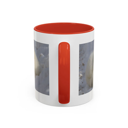 Arctic Fox Photo Accent Coffee Mug – Winter Wildlife Ceramic Mug (11/15oz)
