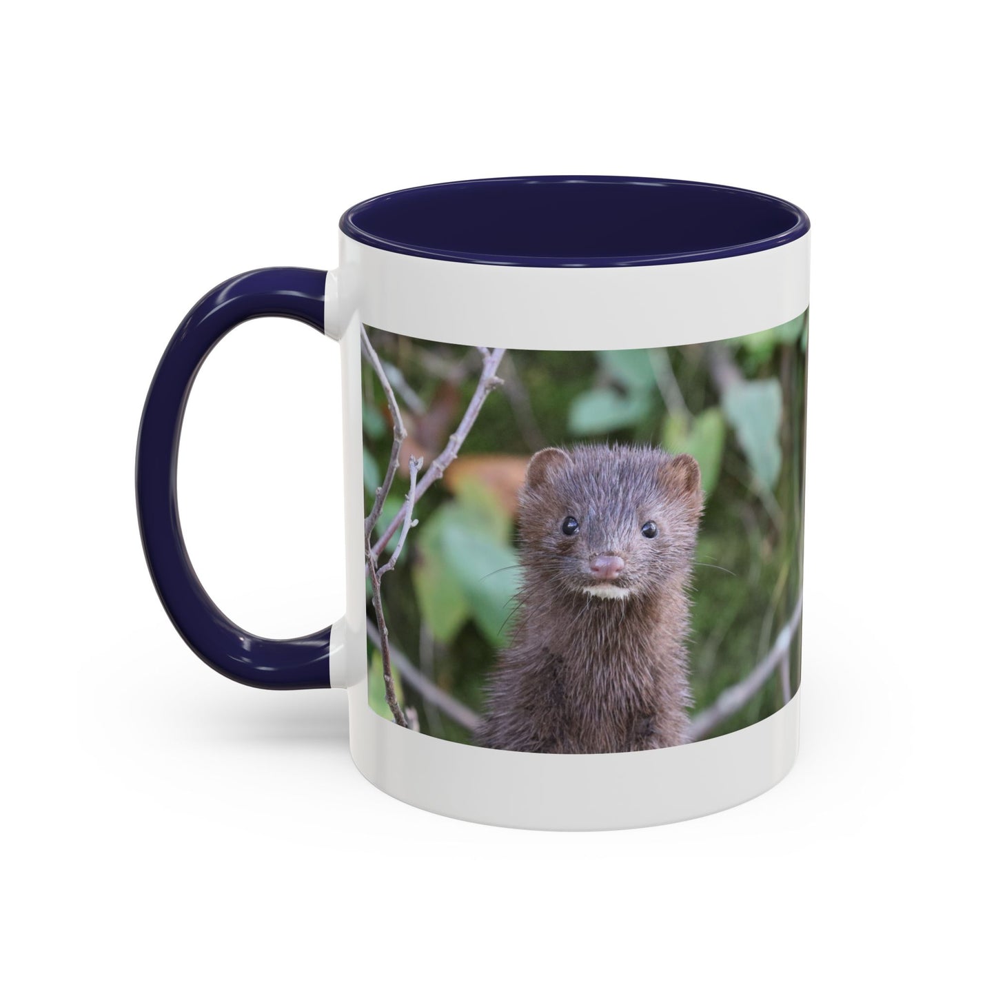 Cute Mink Photo Accent Mug – Wildlife Photography Coffee Cup (11/15 oz)