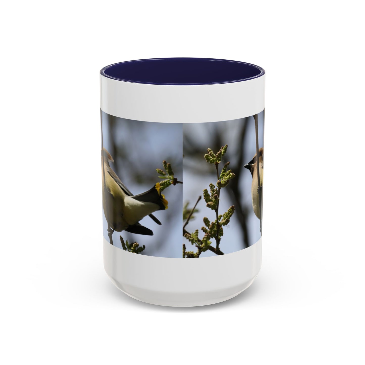Cedar Waxwing Bird Photo Accent Coffee Mug