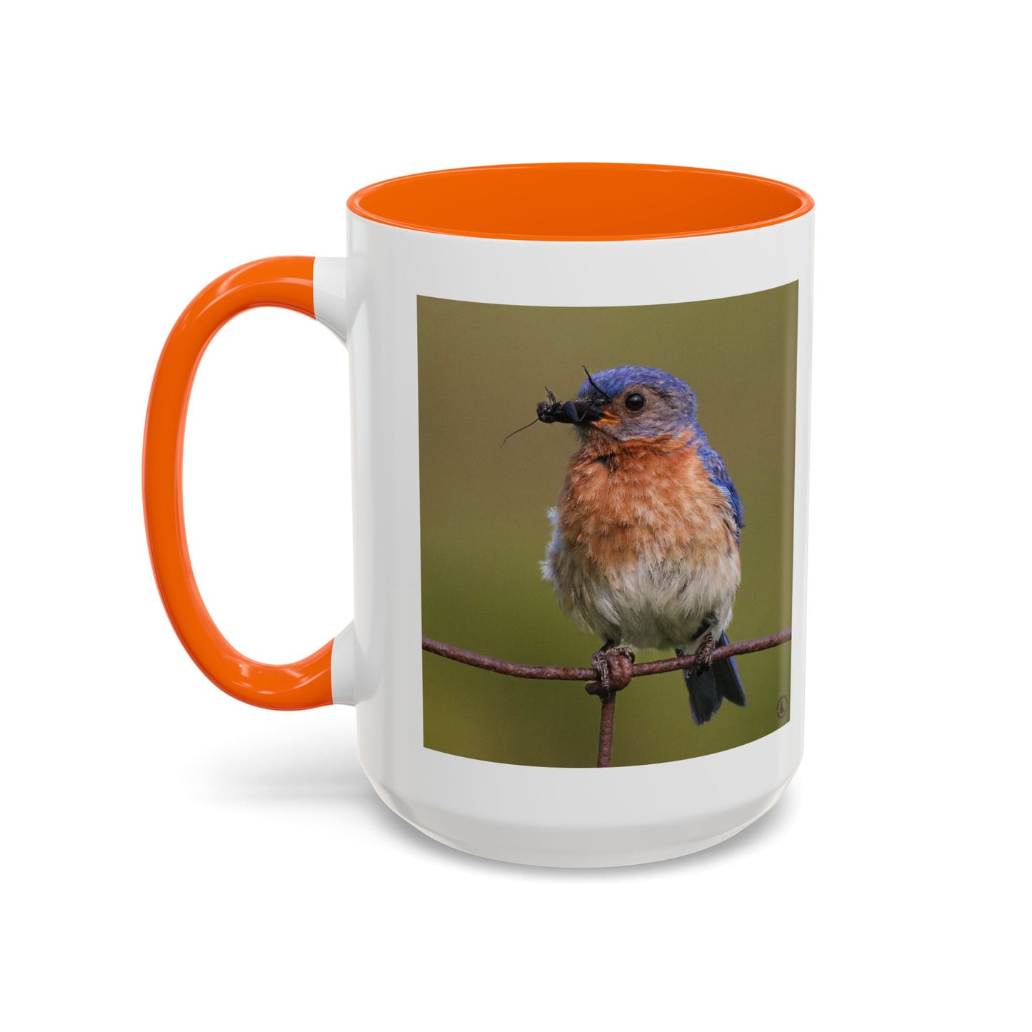 Bluebird Photo Coffee Mug — Eastern Bluebird with Insect Accent Mug (11/15 oz)