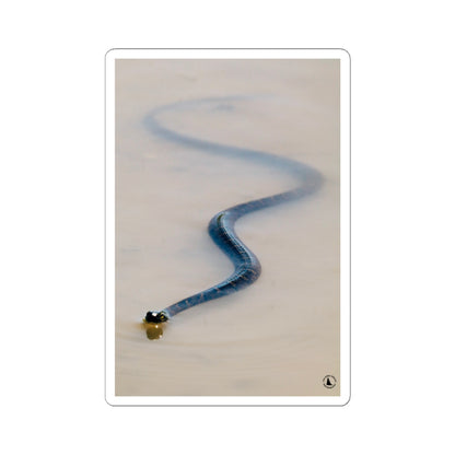 Blue Viper Snake Kiss-Cut Sticker — Realistic Serpent Decorative Decal