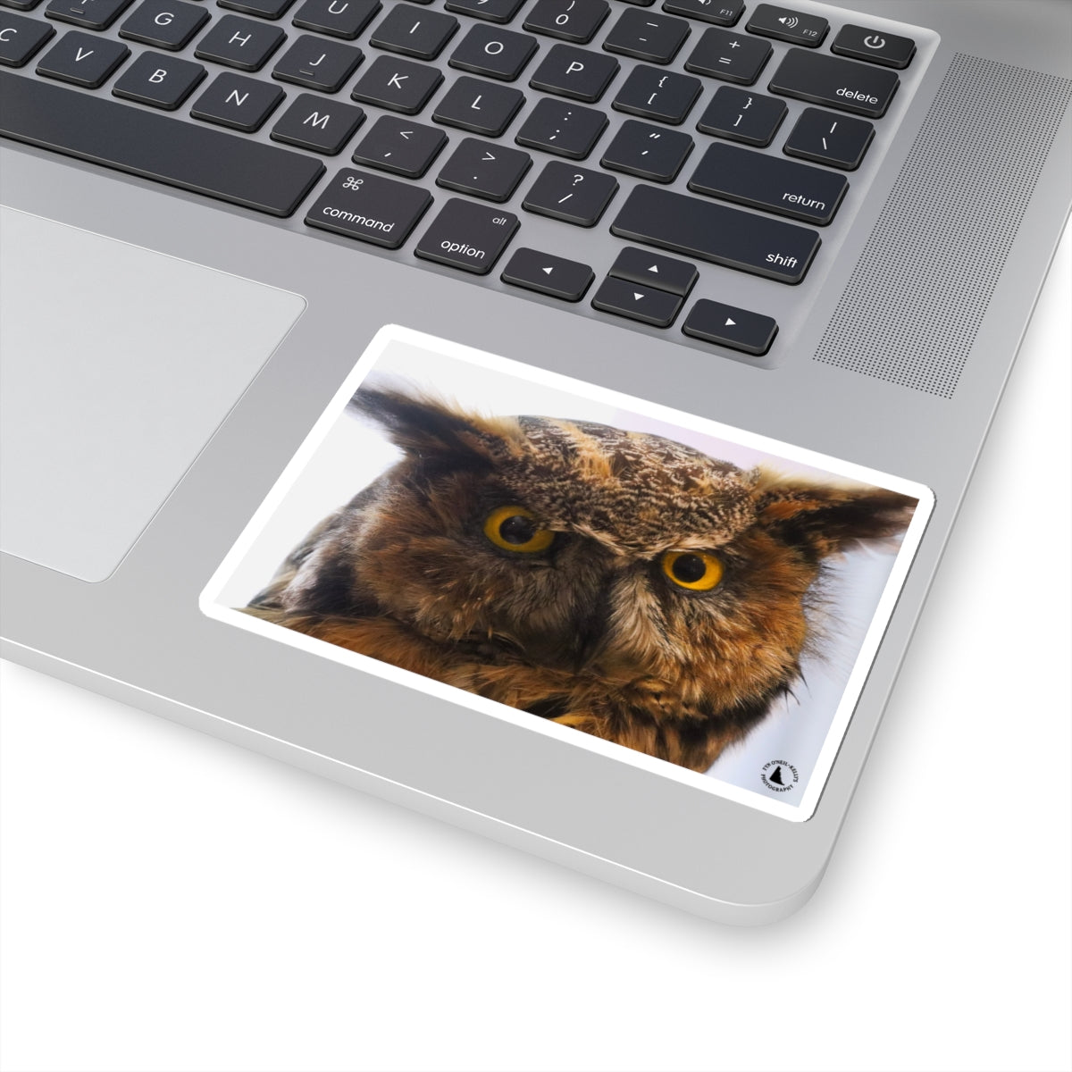Great Horned Owl Kiss-Cut Sticker — Realistic Owl Laptop & Water Bottle Decal