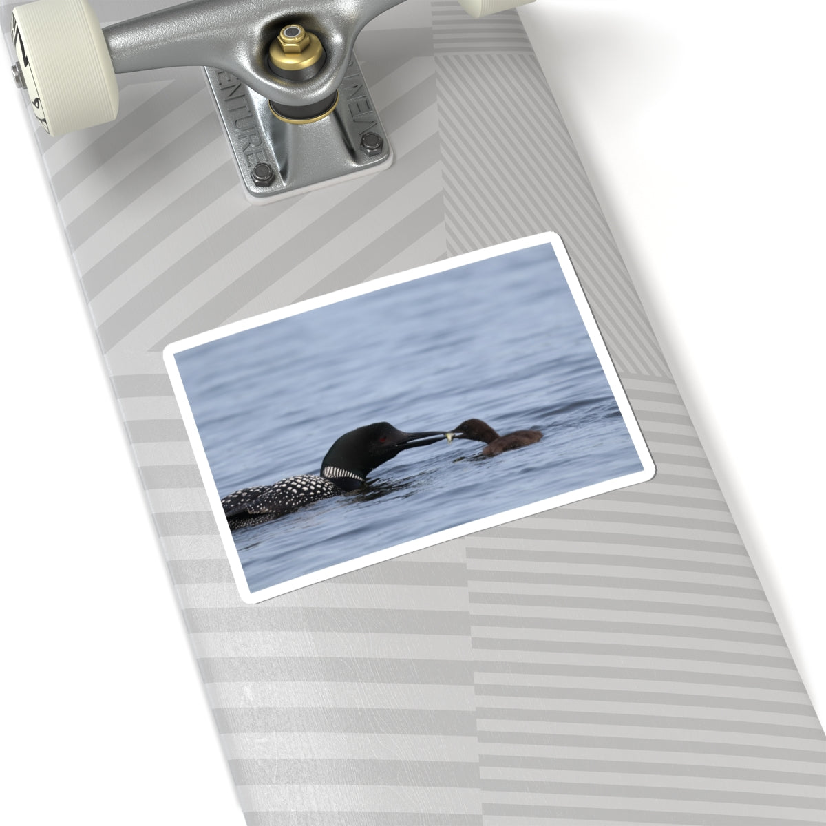 Common Loon & Chick Kiss-Cut Sticker — Wildlife Photo Waterproof Decal