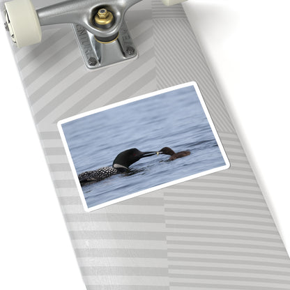 Common Loon & Chick Kiss-Cut Sticker — Wildlife Photo Waterproof Decal
