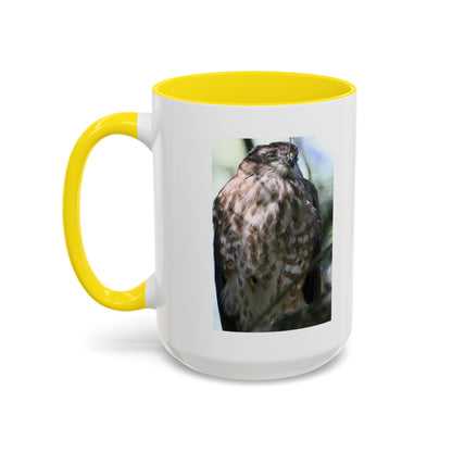 Hawk Photo Accent Coffee Mug — Birdwatcher Gift, 11/15oz