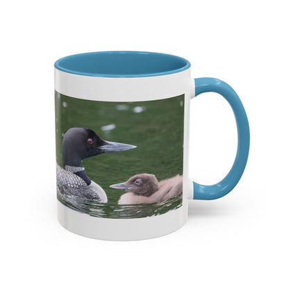 Loon Family Accent Coffee Mug – Wildlife Photo Tea Mug (11/15 oz)