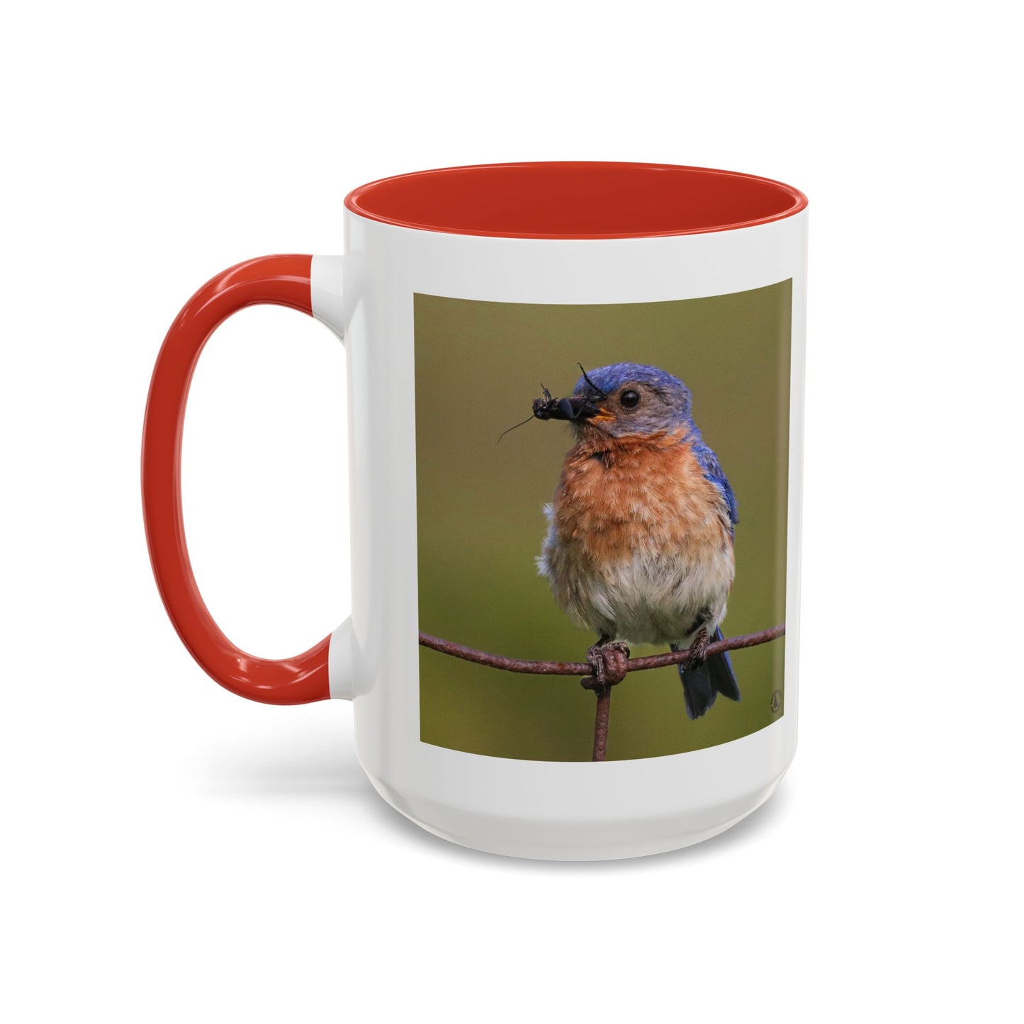 Bluebird Photo Coffee Mug — Eastern Bluebird with Insect Accent Mug (11/15 oz)