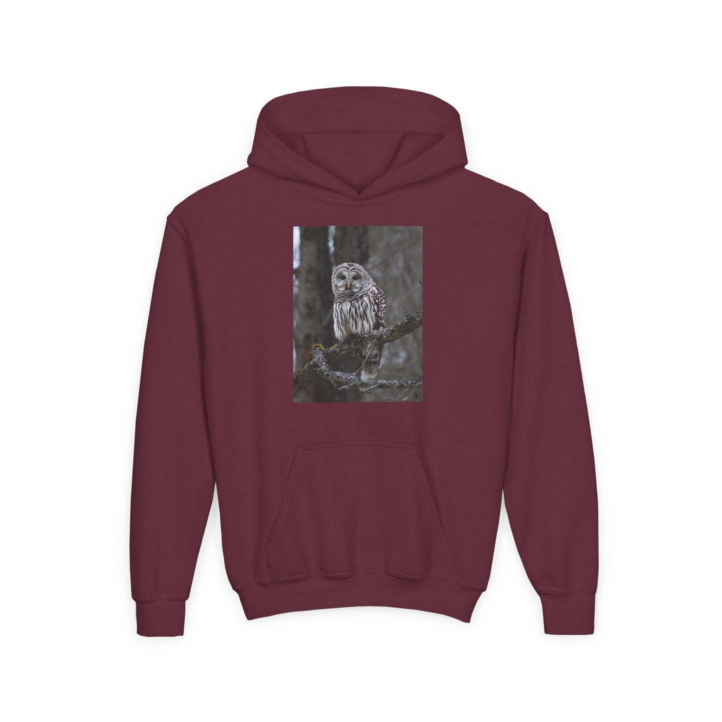 Owl Portrait Youth Hoodie — Realistic Forest Owl Graphic