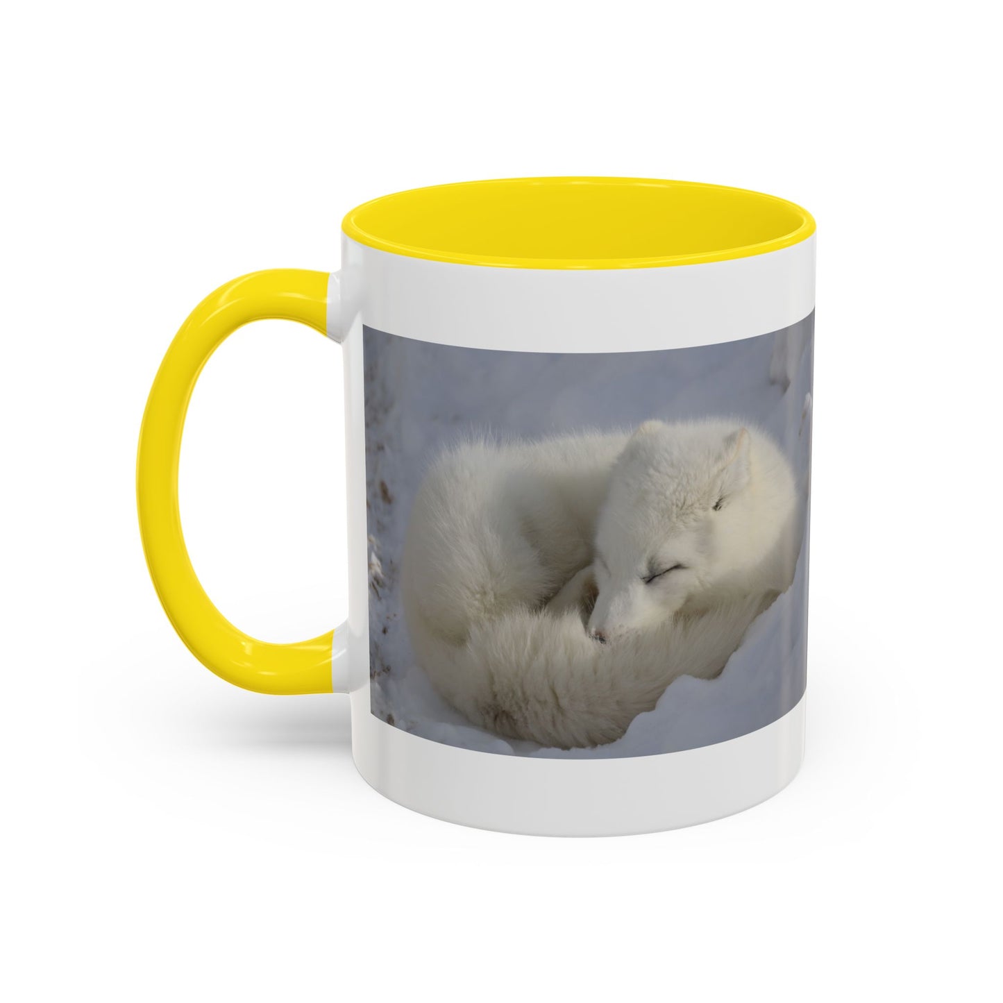 Arctic Fox Photo Accent Coffee Mug – Winter Wildlife Ceramic Mug (11/15oz)