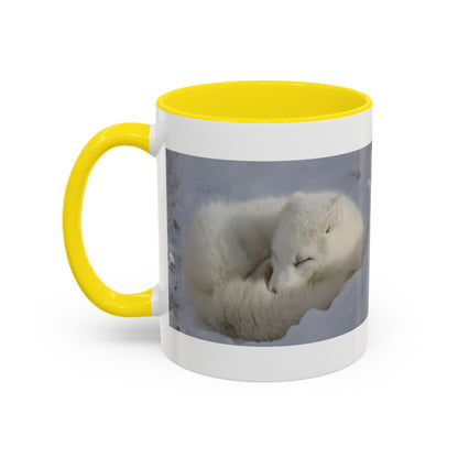 Arctic Fox Photo Accent Coffee Mug – Winter Wildlife Ceramic Mug (11/15oz)