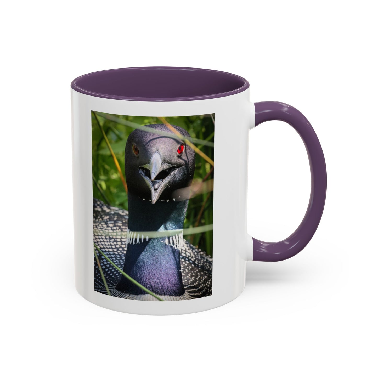 Common Loon Photo Accent Coffee Mug (11/15oz)