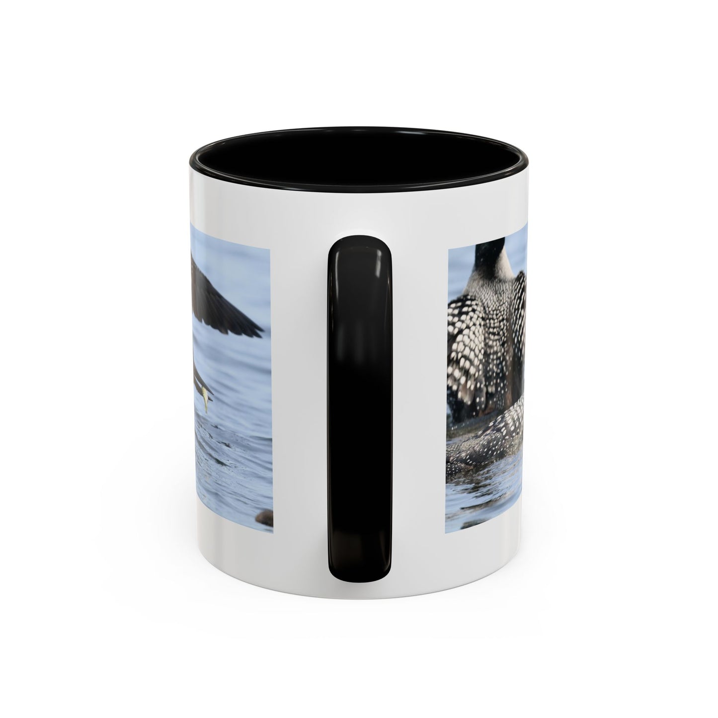 Common Loon Accent Coffee Mug – Wildlife Photography Bird Lover Gift (11/15oz)
