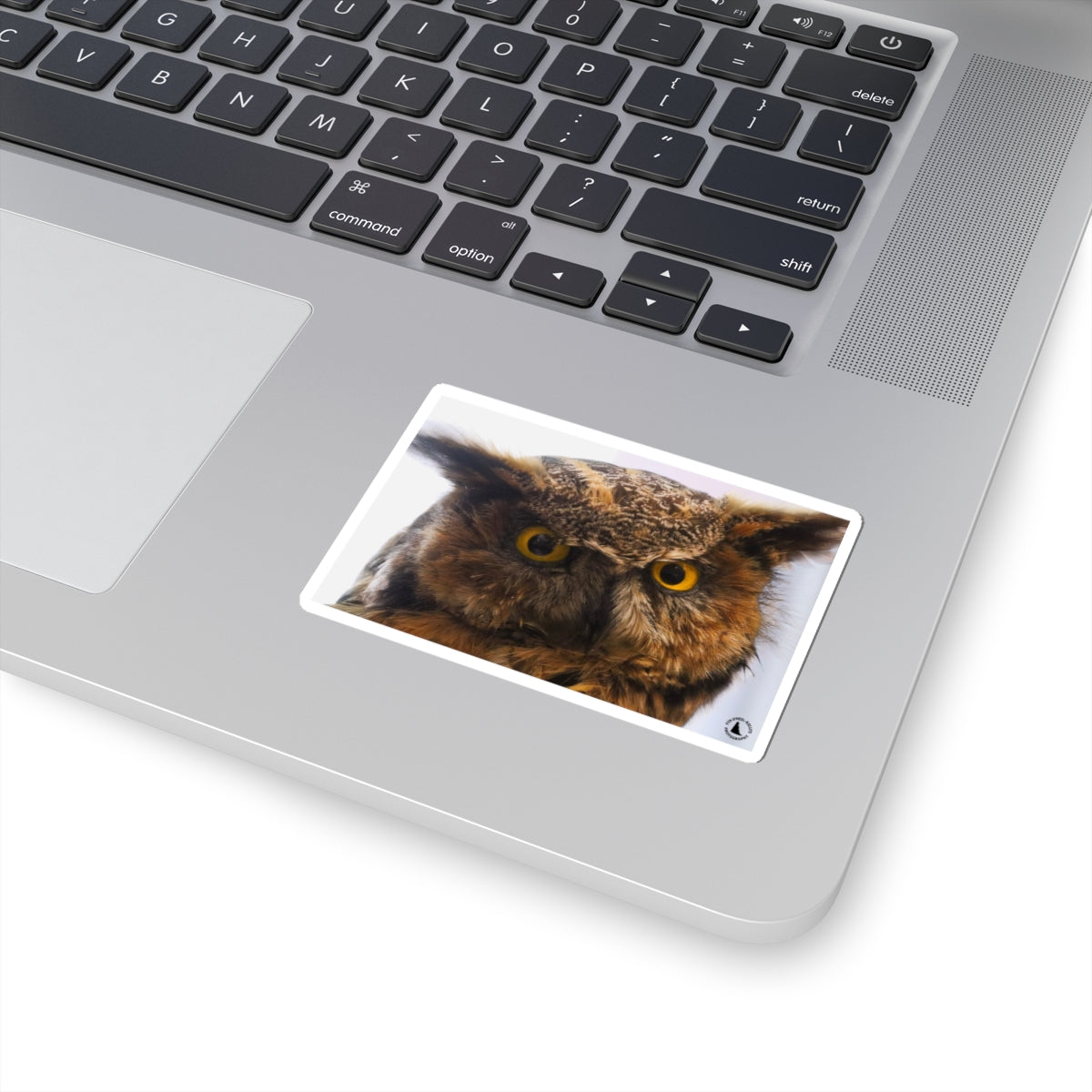 Great Horned Owl Kiss-Cut Sticker — Realistic Owl Laptop & Water Bottle Decal