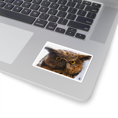 Great Horned Owl Kiss-Cut Sticker — Realistic Owl Laptop & Water Bottle Decal