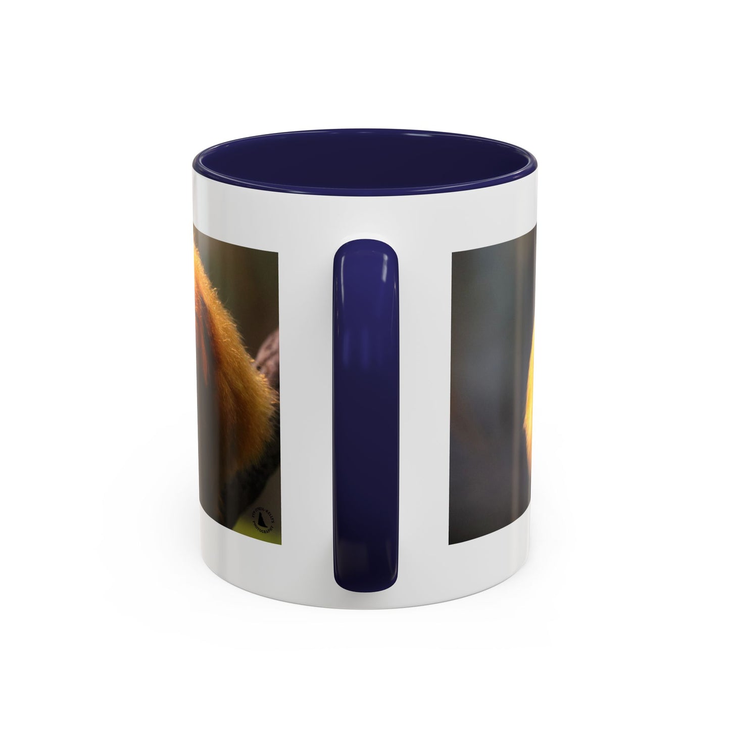 Golden Lion Tamarin Coffee Mug — Cute Exotic Monkey Accent Mug (11/15oz)