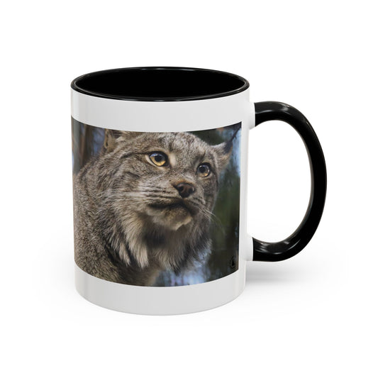 Lynx Portrait Accent Coffee Mug — Wildlife Cat Lover Gift (11/15oz)