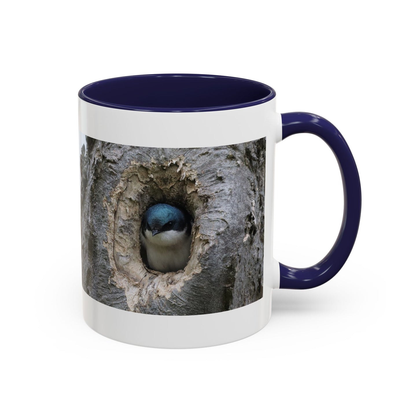 Bluebird in Tree Cavity Accent Coffee Mug — Nature Wildlife Ceramic Mug (11/15oz)