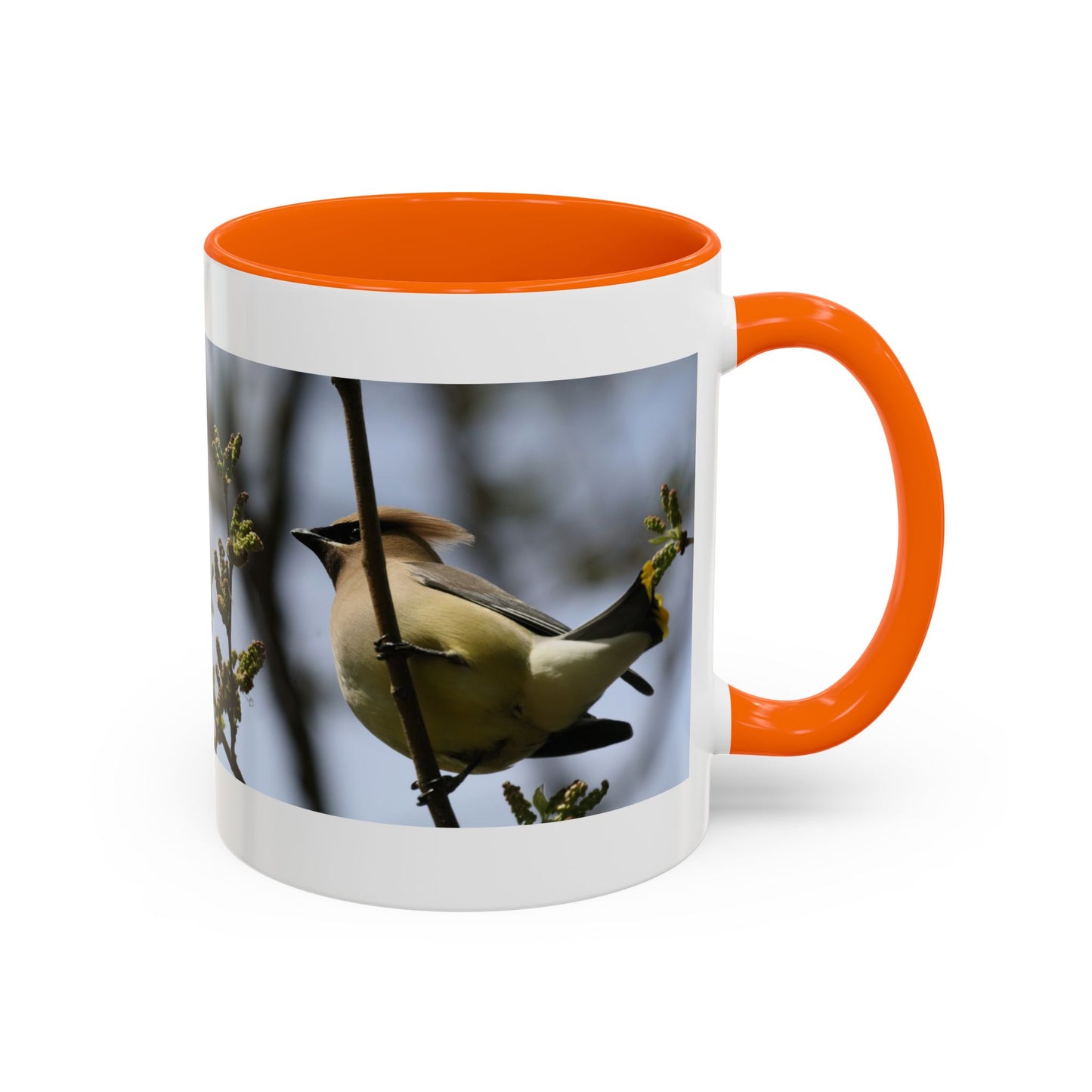 Cedar Waxwing Bird Photo Accent Coffee Mug