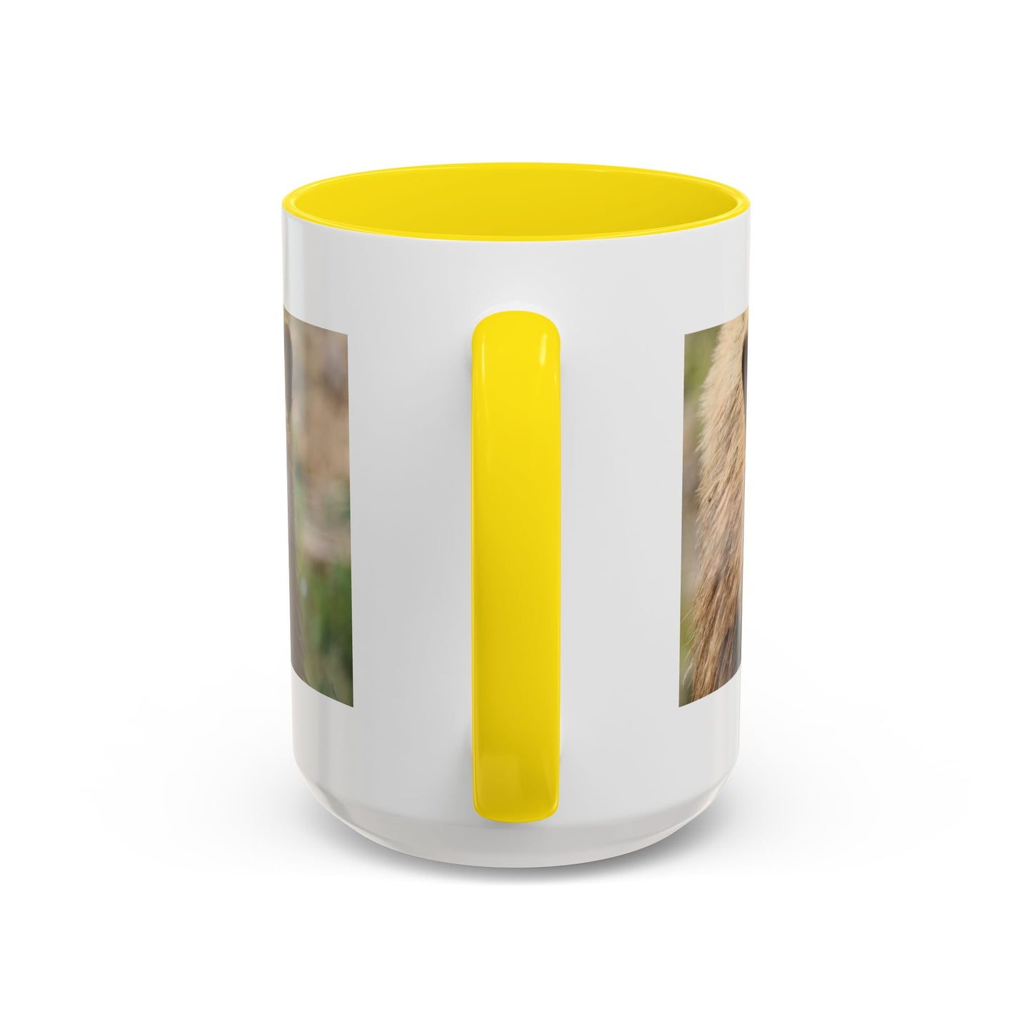 Funny Brown Bear Photo Accent Coffee Mug (11/15 oz)