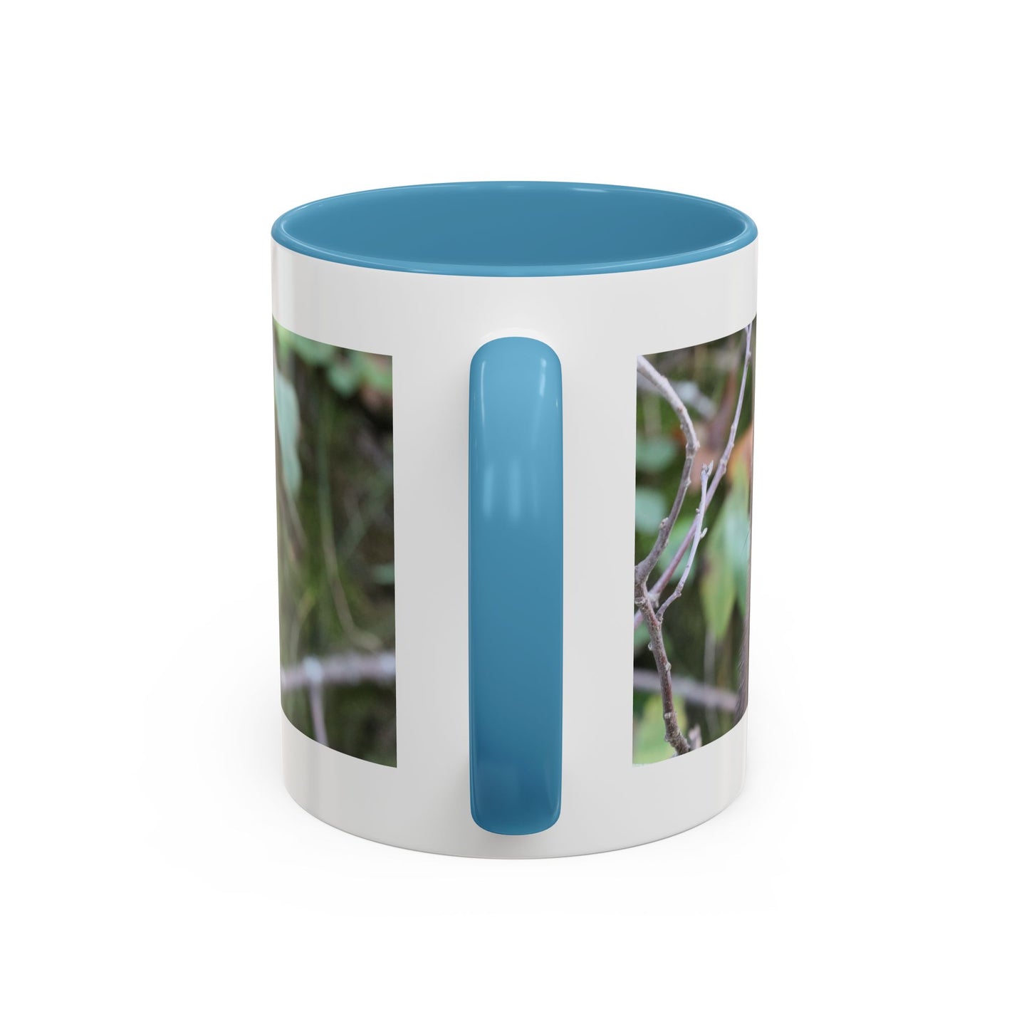 Cute Mink Photo Accent Mug – Wildlife Photography Coffee Cup (11/15 oz)