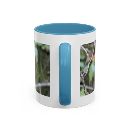 Cute Mink Photo Accent Mug – Wildlife Photography Coffee Cup (11/15 oz)