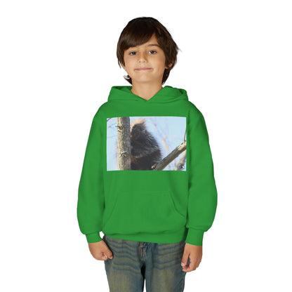 Youth Hoodie with Tree-Climbing Porcupine Photo – Cute Wildlife Kids Sweatshirt
