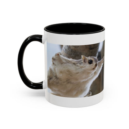 Flying Squirrel Accent Coffee Mug — Cute Wildlife Photo Mug (11/15oz)