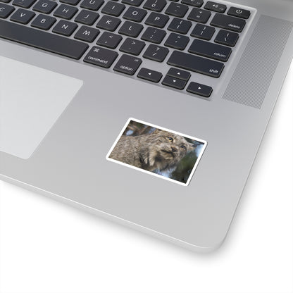 Lynx Photo Kiss-Cut Sticker — Realistic Wild Cat Laptop Decal