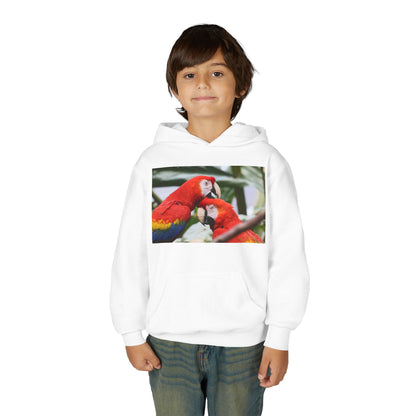 Youth Parrot Hoodie – Colorful Scarlet Macaw Kids Pullover