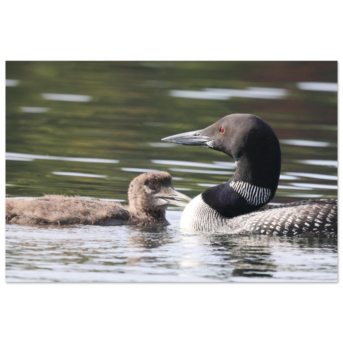 10e3e881-61dd-475f-9a0c-63313ec7c324