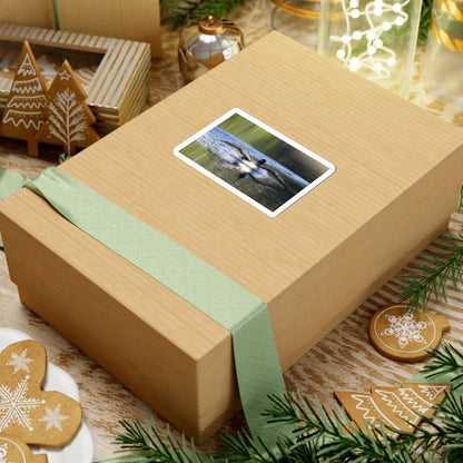 Loon Landing Photo Sticker — Waterproof Kiss-Cut Nature Decal