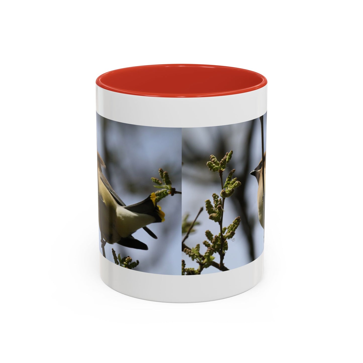Cedar Waxwing Bird Photo Accent Coffee Mug